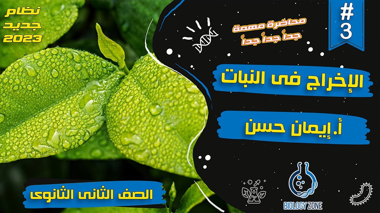 #3 | شرح درس الاخراج فى النبات | احياء تانيه ثانوى الترم الثانى 2023 | إيمان حسن