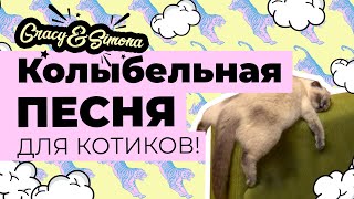Колыбельная для детей ( Мама кошка укладывает котят спать ) Колыбельная для детей ( Мама кошка укладывает котят спать )