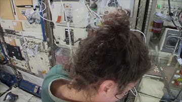 Payload Installation Onboard the International Space Station