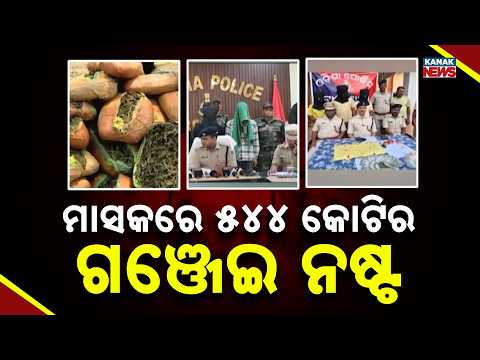 MASSIVE Crackdown In Odisha: ₹544 Crore Ganja & ₹25 Crore Brown Sugar Destroyed!