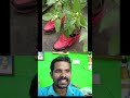 👟 பழைய ஷூக்களைத் தூக்கிப் போடாதீங்க! 🌱 #GardenTips #RecyclingIdeas #TamilReaction