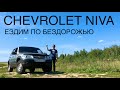 Niva Влог.  Нива на бездорожье. Попытка проехать на Медведь камень. Грязь и ветки #2