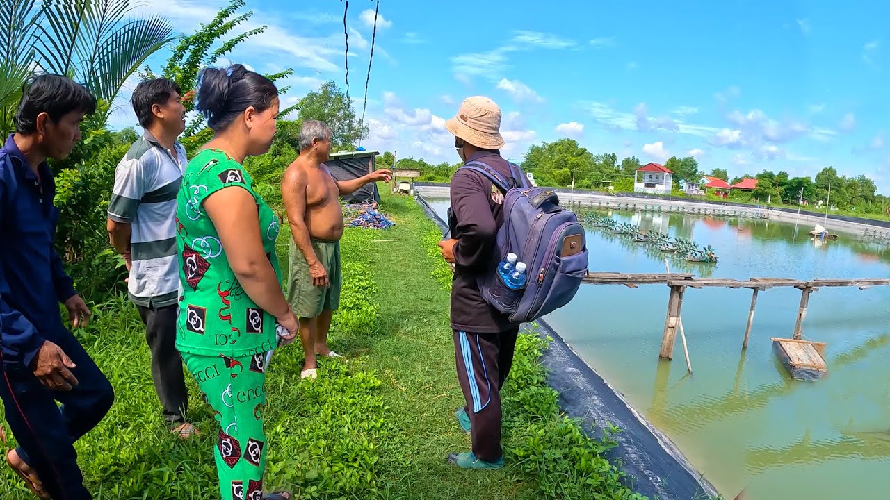 Giúp chị gái vì lo cho Cha gặp Rắn trong vuông nhà | TGSB #682