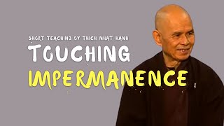 Touching the Reality of Impermanence to Allow Real Life to Be | Thich Nhat Hanh (EN subtitles)