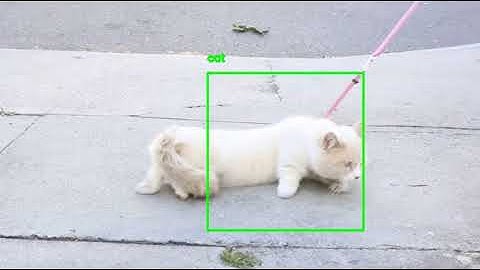 Object tracking with dlib (Demo #2)