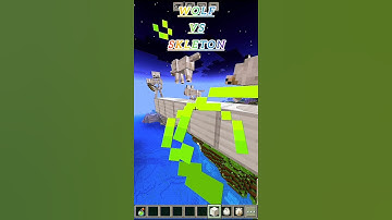 1000 Wolves vs Skeleton Army