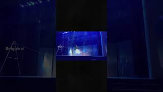 You won't believe AI Robot Stunt Showdown Extreme Humanoid Challenge Unleashed #humanoid robot#short