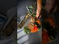 Meet Pulp Pantry | Single-Use Plastic Challenge Winner