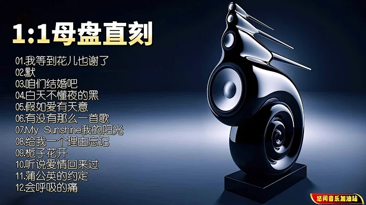 【无损音乐】空灵的嗓音，优雅而不失灵动，磁性中带着感染力！ - 天天要闻