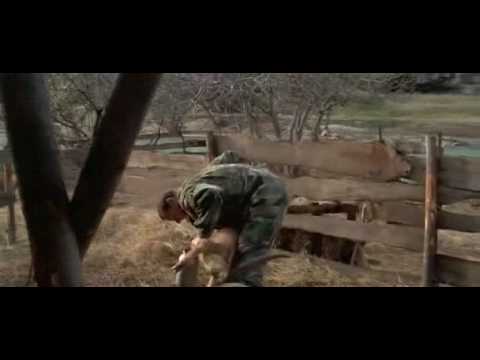 Savior.1998.XviD.mp4