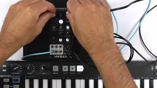 Knobula Pianophonic モジュラーシンセ　ユーロラック Knobula Pianophonic - Eurorack Module on ModularGrid