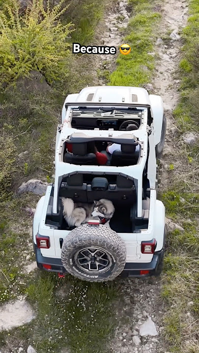 Thar Roxx ko bolo yeh karke dikhaaye 🤣🤣 #aakritirana #jeep #rubicon #tharroxx