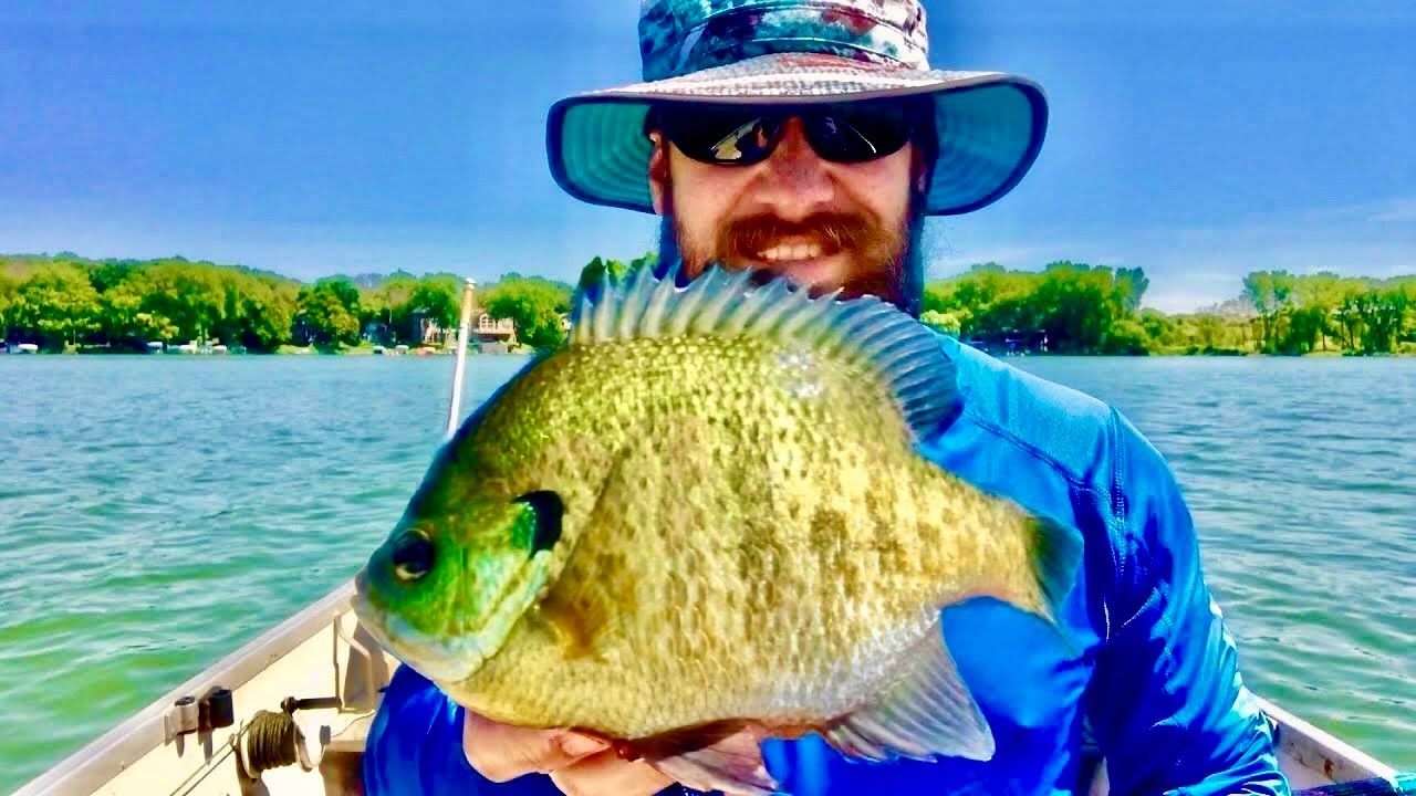 Searching For BIG Bluegills NEW Panfish Plastic s Saved The Day 