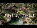 Healing Forest Deep Healing Meditation Music Mystical Ambience For Inner Peace mp3