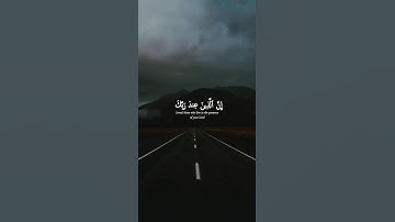 اكتب شيء تؤجر عليه 😴💚 قران كريم | ياسر الدوسري
