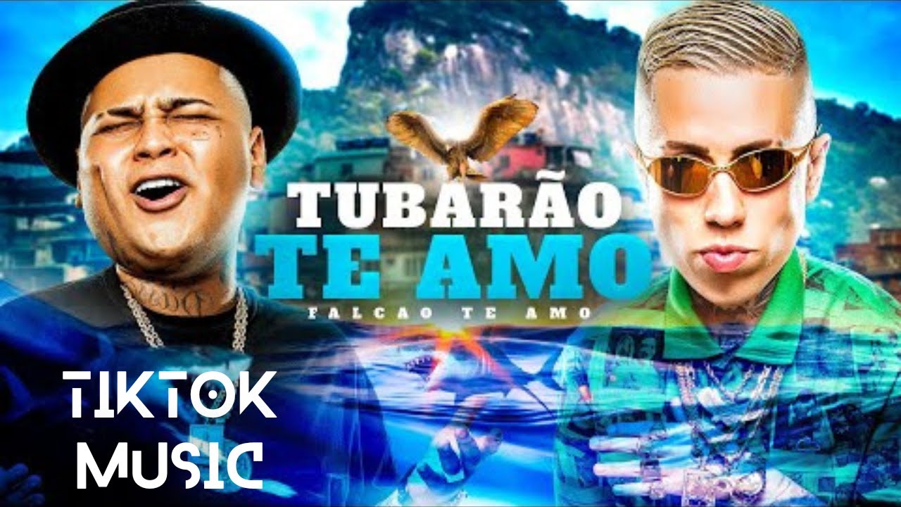 TUBARÃO TE AMO, FALCÃO TE AMO 🦈 FUNK TIK TOK DJ LK DA ESCÓCIA AS MAIS
