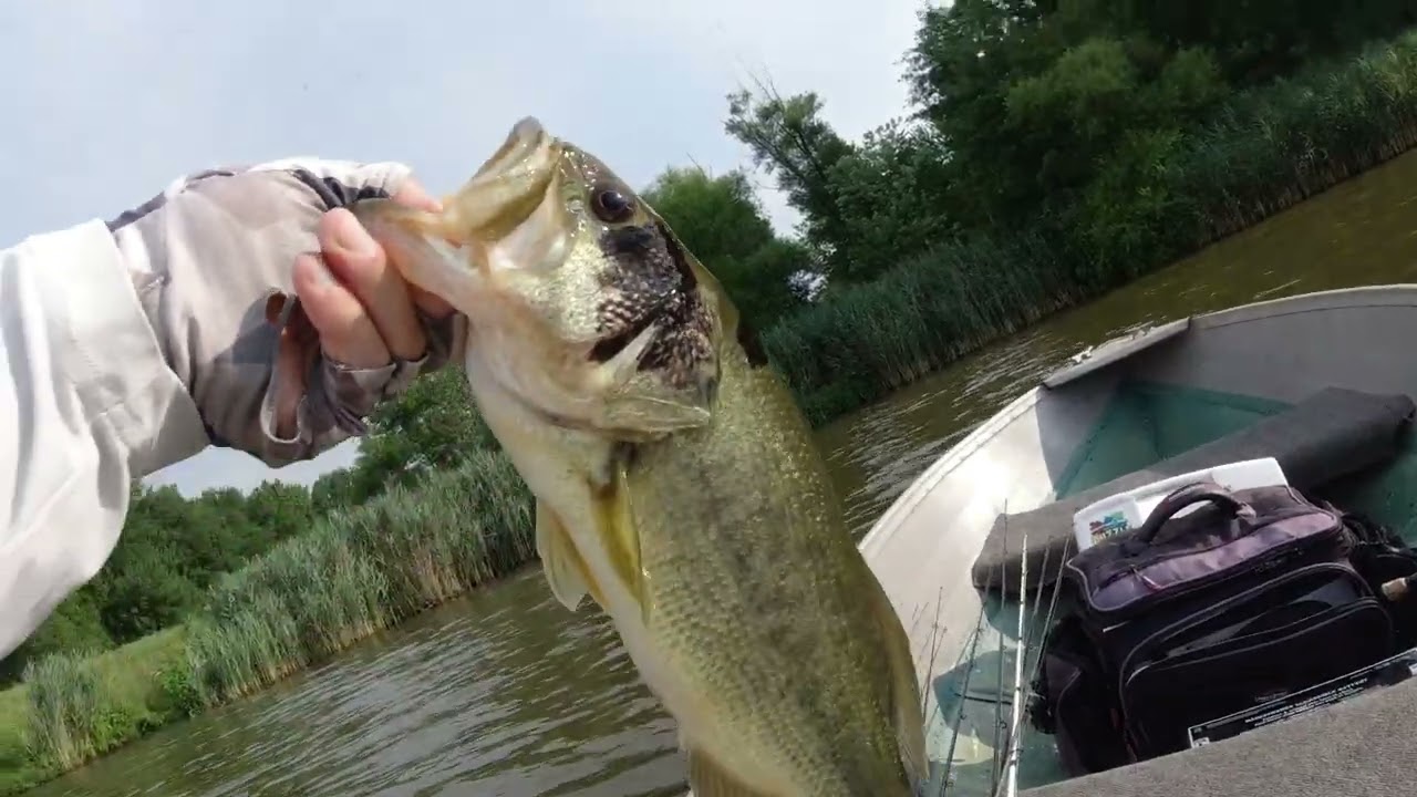 Bass fishing on my bday ( summer 2023 )