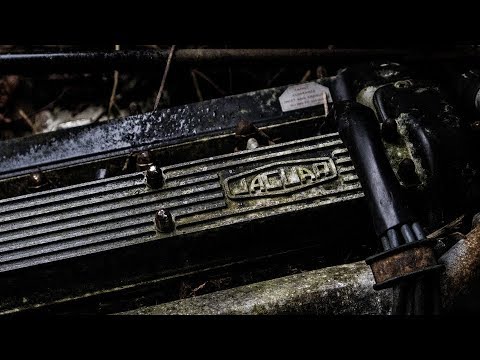 Abandoned Jaguar Mansion With 20 Vehicles 