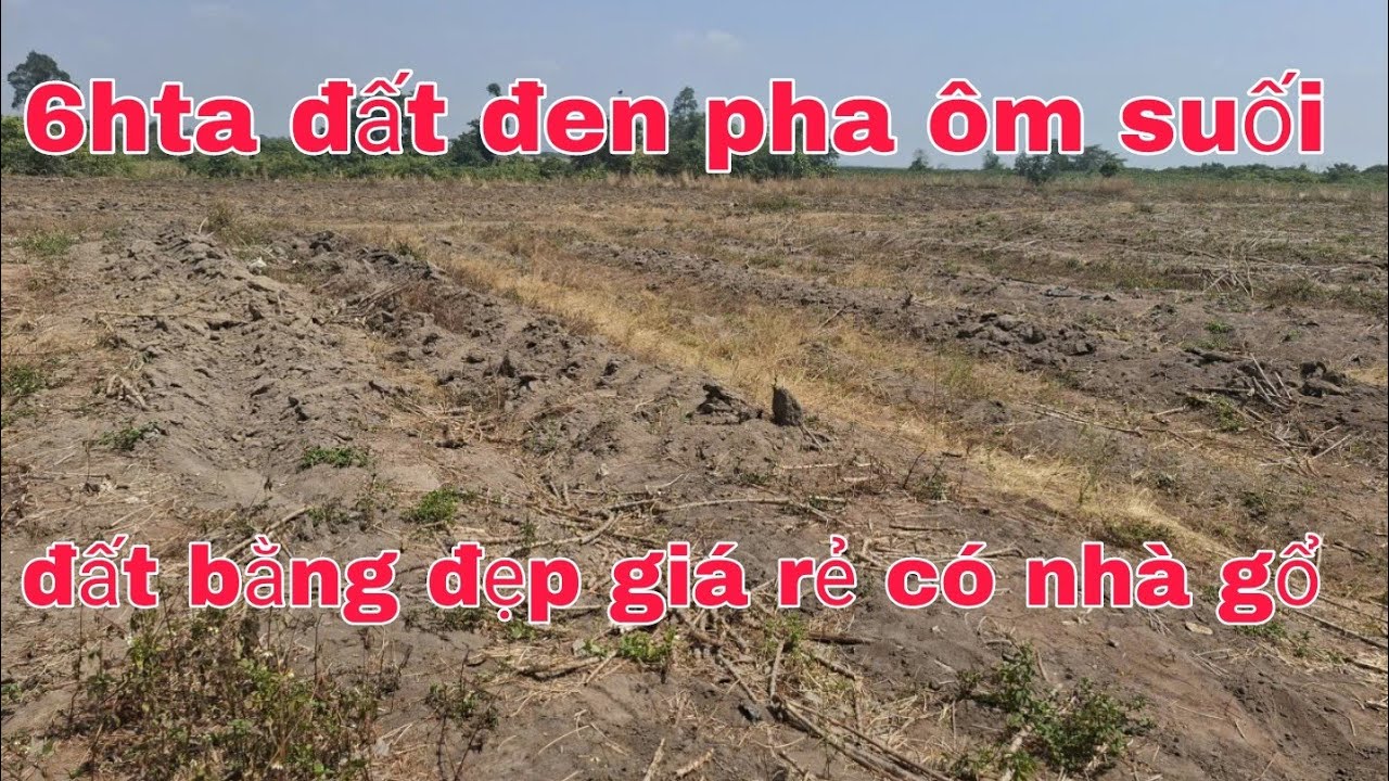 Cần bán 6hta đất giá rẻ xe Bán tải tới rẫy ac quan tâm lh 0785311413 ôm suối 