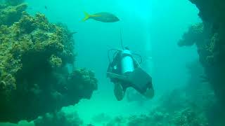 Punta Cana diving