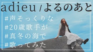 【Iny】adieu / よるのあと 【歌ってみた】