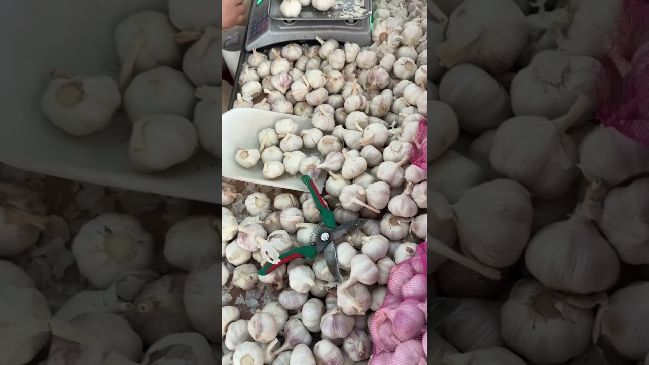 Chinese garlic processing 