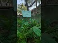 First, we grew the soil. Now, the soil feeds us