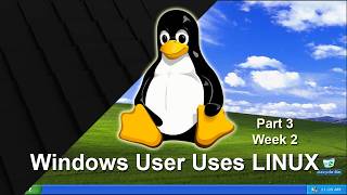 Two Weeks in Linux and I DID NOT expect this!! Windows User Going Linux   Part 3