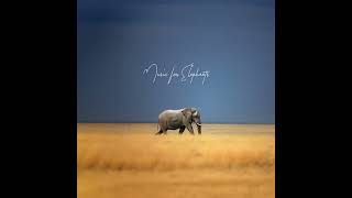 BRDGS - Dancing Without Music (Music for Elephants Version) (Official Audio)