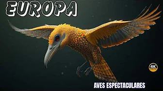 EUROPA AVES DOCUMENTAL COMPLETO