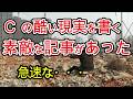 C の現状をとても正確に書いている素晴らしい記事がありました。