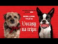 VOCASY NA TRIPU (2023) oficiální trailer