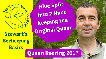 Creating Two Nucs by Splitting a Hive 2017 #Beekeeping Basics - The Norfolk Honey Co.