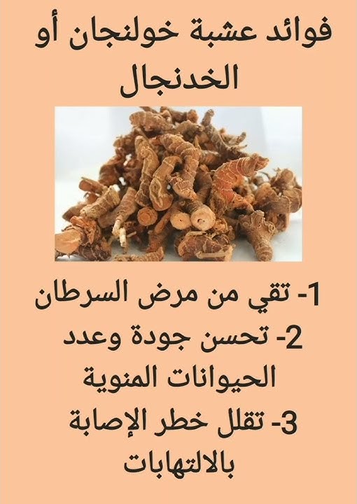 فوائد عشبة الخولنجان أو الخدنجال #explore #shorts #health #أعشاب #وصفة_مجربة #وصفة #خولنجان