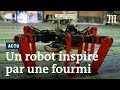 Antbot un robot inspir par des fourmis du dsert