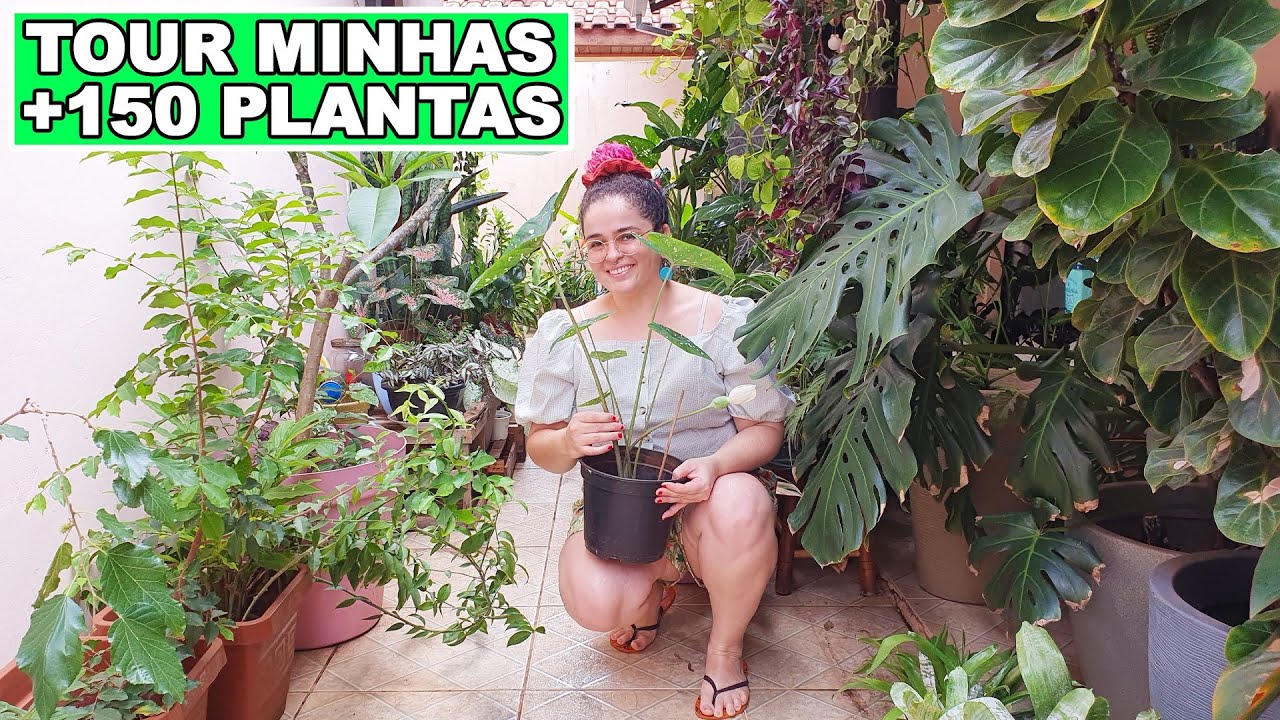 TOUR PELAS MINHAS MAIS DE 150 PLANTAS *atualizado* 🪴💚