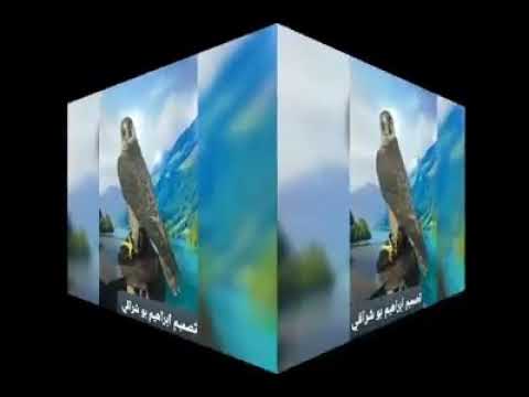 مش كل الطير لي ياتكل لحه