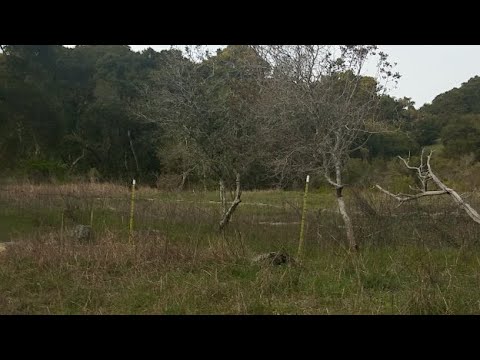 Crystal Springs Park