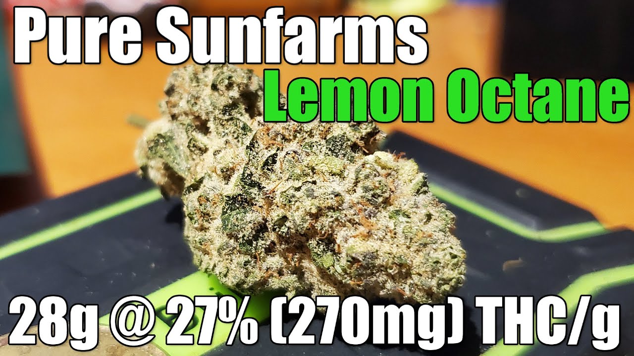 Pure Sunfarms - Lemon Octane - Unboxing Review - 28g @ 27% (270mg) THC/g (+Extreme Closeups)