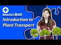 Introduction to Plant Transport | प्लांट ट्रांसपोर्ट  | Hindi | Biology