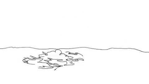 CSSSA 2017 Animation Application (rejected)