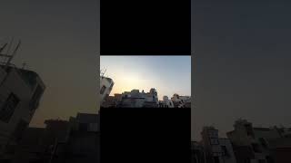 Full Ladaiya New Pigeon