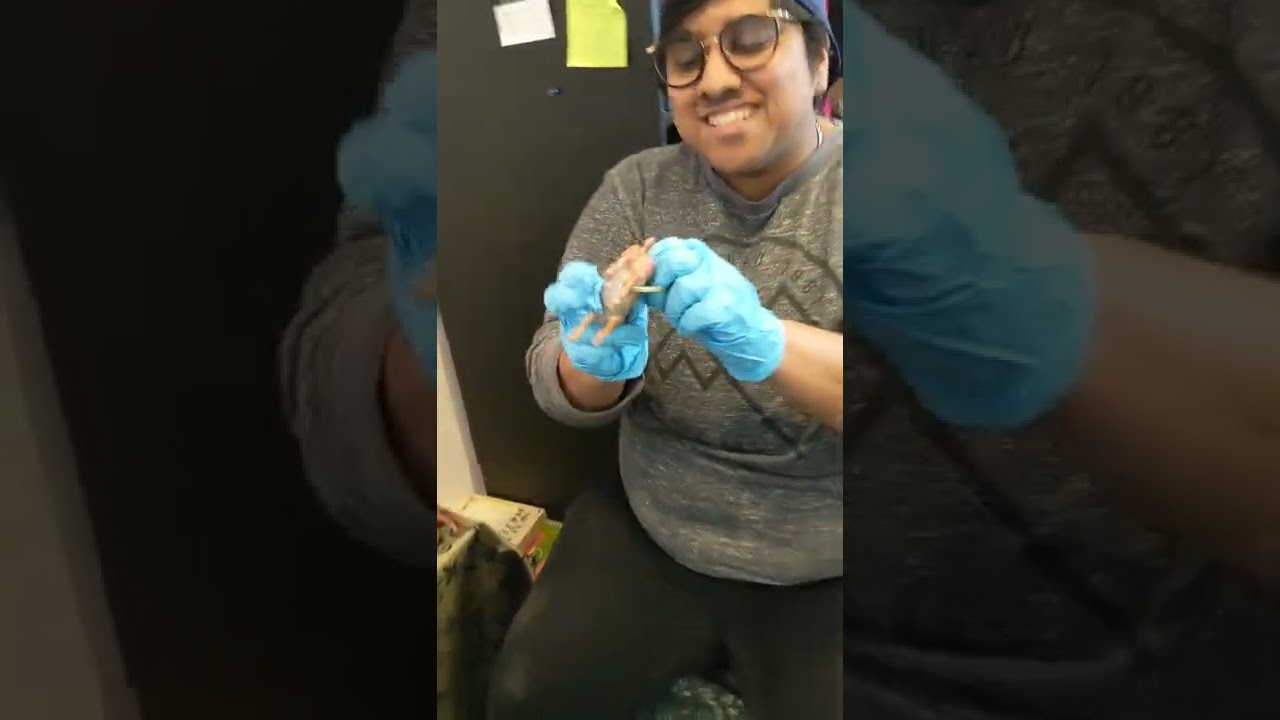 shades of colour condom contest