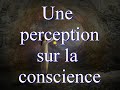 12  investigation  une perception sur la conscience