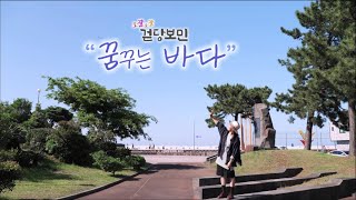 조잘조잘 걷당보민 [꿈꾸는 바다] KBS제주 240521방송