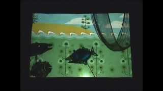 Shadowgraph 2