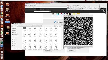 Tutorial 3: PuMA V2 Generating 3D Tiff images in FIJI