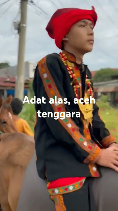 adat alas, kutacane aceh tenggara #leuser#adat #acehgayo #kutacane #trending #trendingshorts#story