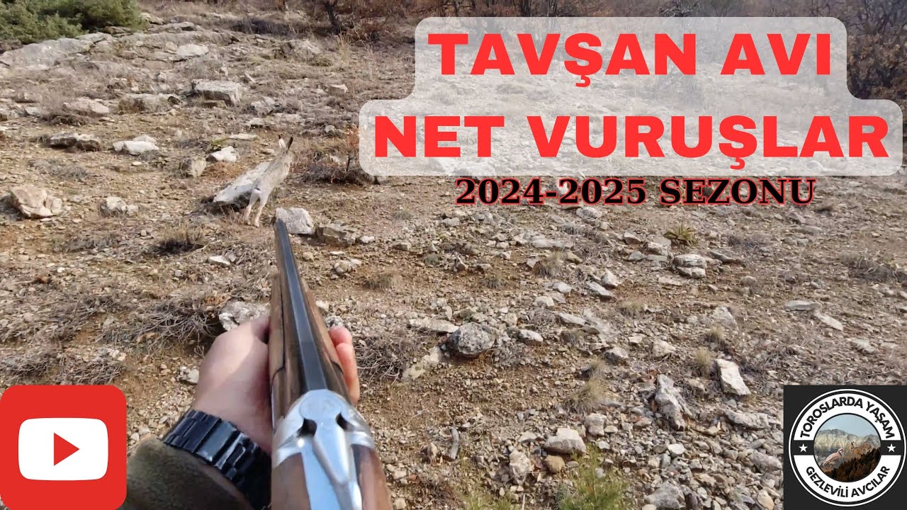 Toroslarda Tavşan Avı Net Vuruşlar 