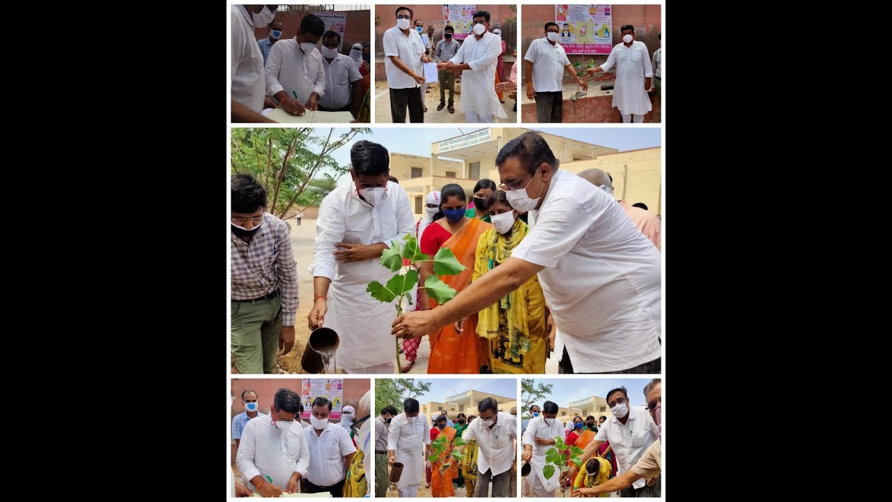 PLANTATION AT GOVT. LAW P.G. COLLEGE, BIKANER YouTube